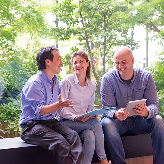 image of trees in a forest