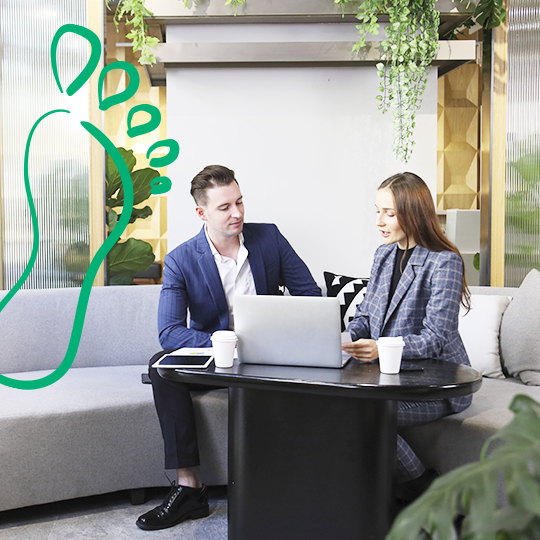 Carbon neutrality goal